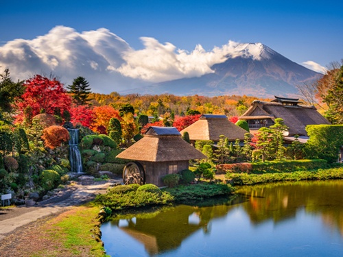 Thiên đường hoa Nhật Bản - Tokyo - Núi phú sĩ - Hồ Ashi - Khu du lịch Hakone - Đảo Odaiba - làng văn hóa Oshino Hakkai